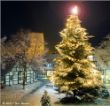 web-20101218-©FB-2010_IMG_5655.jpg