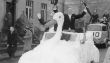 Karneval 1958 - Vereinsvorsitzender Hubert Büscher zusammen mit Gemeindedirektor Heitkötter im VW-Cabrio vor Apotheke Schlütter.jpg
