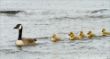 web©-F_Buescher_20120516_MG_0845.jpg