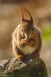 web©-F_Buescher_20130402FB__1513.jpg