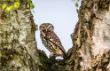 web©-F_Buescher_20130503FB__4726.jpg