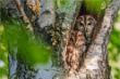web©-Felix_Buescher-20140601-IMG_5783.jpg
