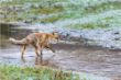 web©-Felix_Buescher-20170125-5D4_7024.jpg